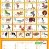 Les posters effaçables - L'alphabet