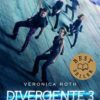 Divergente #03: Au-delà du mur