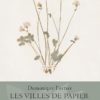 Les Villes de papier