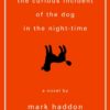 The Curious incident of the dog in the night-time